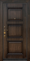 Одностворчатая входная дверь тёмно-коричневого цвета