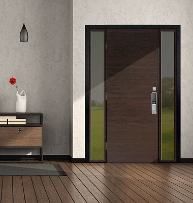 Дизайн коричневой входной двери