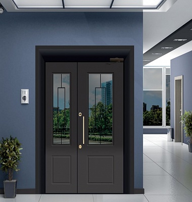 Дизайн чёрной двухстворчатой входной двери